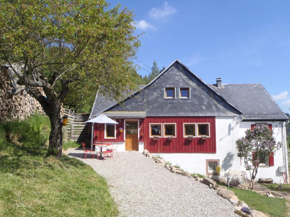 Villa La Petite Finlande Orbey Exterior foto