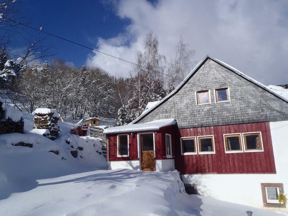 Villa La Petite Finlande Orbey Exterior foto